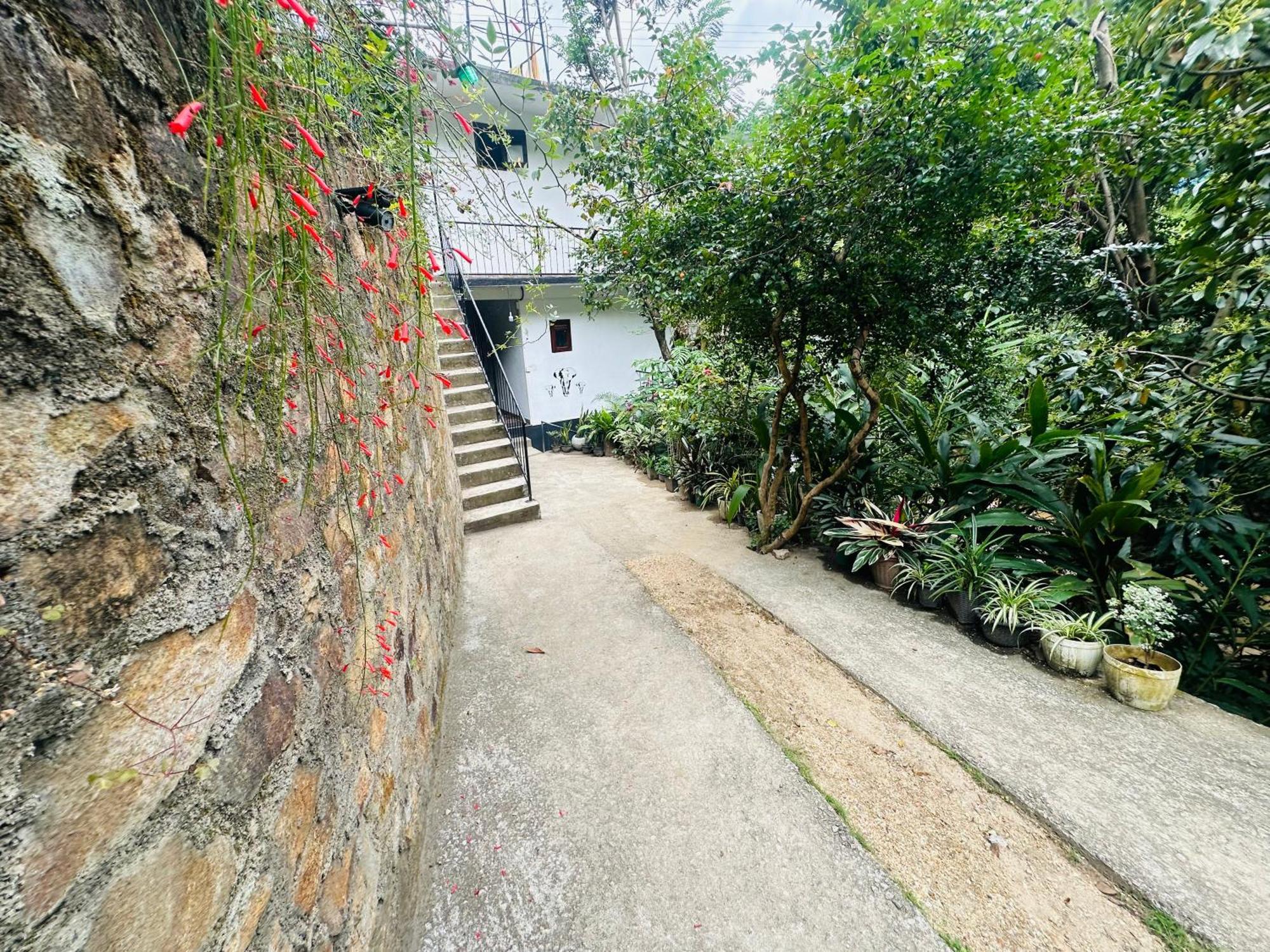 River Splendour Home Stay エッラ エクステリア 写真