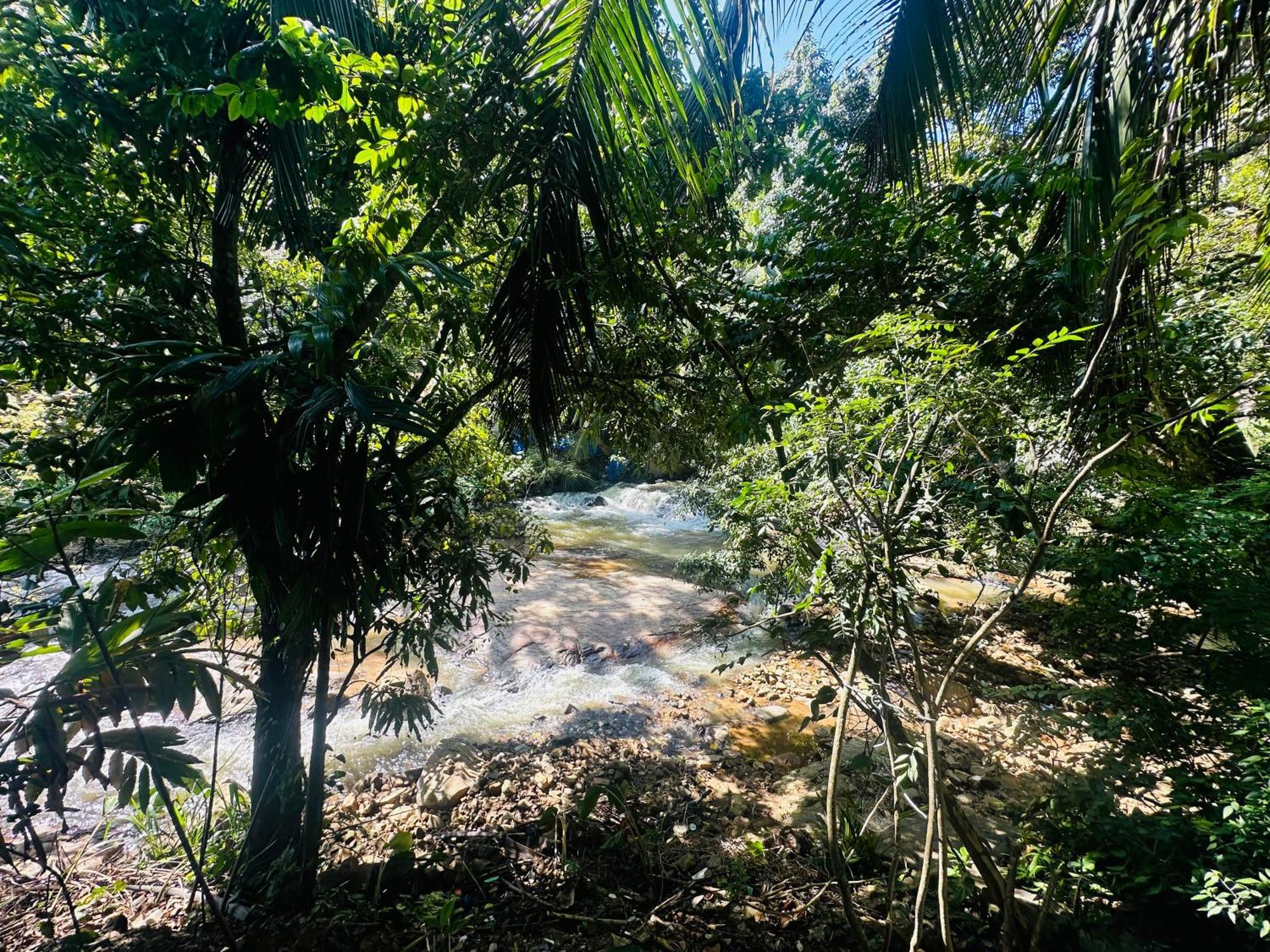 River Splendour Home Stay エッラ エクステリア 写真