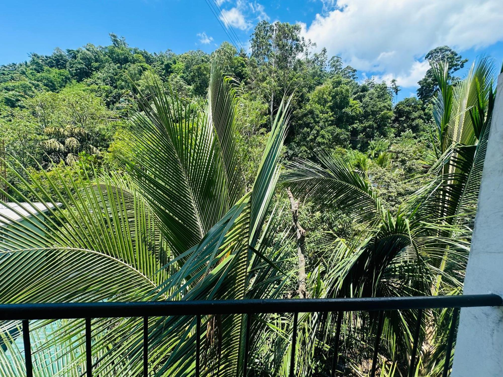 River Splendour Home Stay エッラ エクステリア 写真