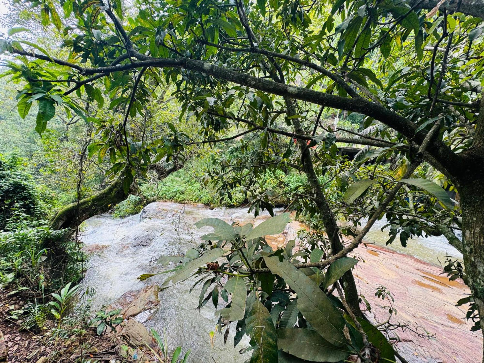 River Splendour Home Stay エッラ エクステリア 写真